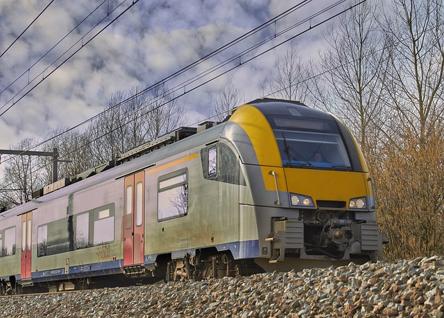 Transfer From Charles de Gaulle to Disneyland