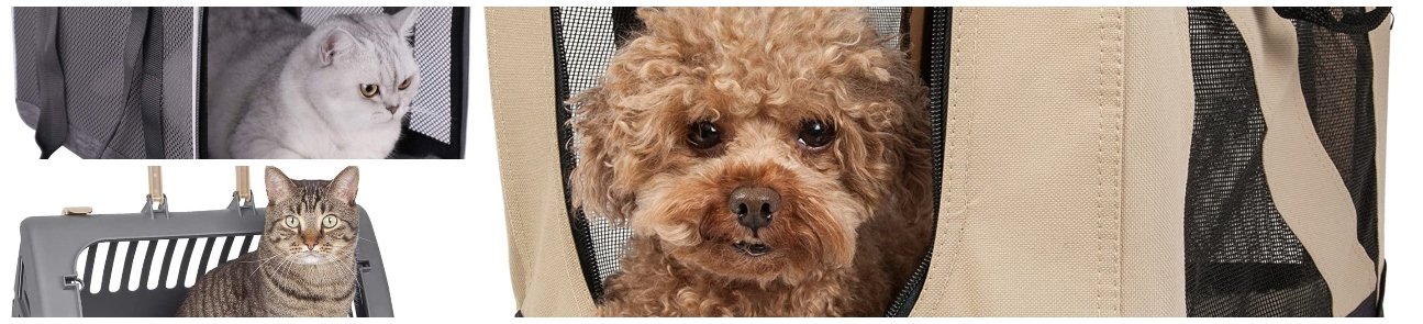 Pet Taxi Brussels to London